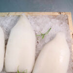 Fresh Squid Cutting